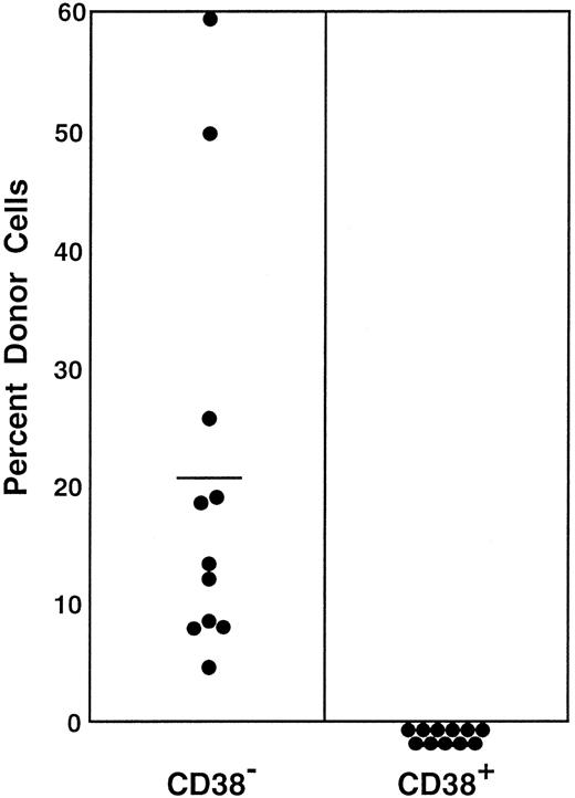 Fig. 7. Percentage of donor nucleated cells in the blood of individual mice having transplantation with G-CSF–mobilized PB stem cells 6 months before. / Mice had transplantation with 3600 Lin−c-kit+Sca-1+CD38−or 2000 Lin−c-kit+Sca-1+CD38+G-CSF–mobilized PB cells, reflecting the 9:5 ratio of the cells in CD38− (R12) and CD38+ (R13) windows of Figure6. Results shown are representative of 2 experiments.