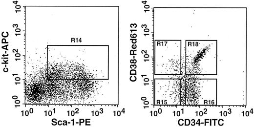 Fig. 8. Sorting regions used for preparing Lin−c-kit+Sca-1+ cells of 5-FU–treated mice that were further separated on the basis of CD38 and CD34. / The Lin− cells were enriched for c-kit+Sca-1+ cells using R14 window and again sorted on the basis of CD38 and CD34 expression using R15 to R18 windows. We used anti-CD38 (90) antibody from Pharmingen in this experiment.