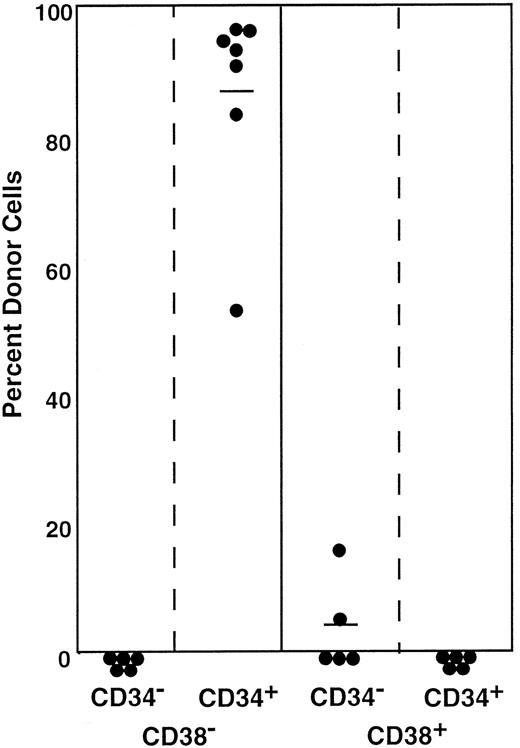 Fig. 9. Engraftment levels of mice having transplantation with cells positive or negative for CD34 and CD38. / The mice had transplantation with Lin−c-kit+Sca-1+ marrow cells of 5-FU–treated mice that were separated on the basis of CD38 and CD34 expression. All cells in the 4 sorting windows (R15-R18; Figure 8) were injected into 7 mice per group. It is estimated that 60 CD38−CD34−, 200 CD38−CD34+, 30 CD38+CD34−, or 180 CD38+CD34+ cells were injected per mouse. Results shown are representative of 2 experiments.