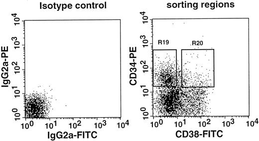 Fig. 10. Sorting regions used for preparation of CD34+CD38− and CD34+CD38+ mononuclear marrow cells of normal adult mice. / Mononuclear cells were sorted, without other enrichment methods, for CD34+CD38− and CD34+CD38+ populations using R19 and R20 electronic windows, respectively. The anti-CD38 antibody was purchased from Pharmingen.