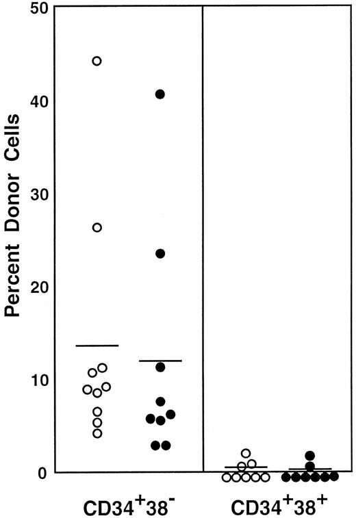 Fig. 11. Percentage of donor nucleated cells in the blood of individual recipient mice 4 and 6 months after transplantation. / Mice had transplantation with CD34+ mononuclear marrow cells of normal adult mice that were further separated on the basis of CD38 expression. Because the ratio of CD34+CD38− (R19) cells to CD34+CD38+ (R20) cells was 27:5 according to Figure 10, 1.0 × 105CD34+CD38− cells or 1.8× 104CD34+CD38+ cells were injected into individual mice. Results are shown at 4 months (○) and 6 months (●). The difference between the groups (6-month engraftment) is significant at P < .05. Results shown are representative of 2 experiments.