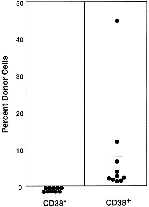 Fig. 13. Percentage of donor nucleated cells in the blood of individual secondary recipients at 6 months after transplantation. / Reflecting the 1:1 ratio of CD38− and CD38+cells (Figure 12), 1000 Ly-5.1 CD38− or CD38+bone marrow cells of the primary recipients were transplanted into individual secondary Ly-5.2 recipients. Results shown are representative of 2 experiments.