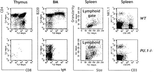 Fig. 2. NK cells but not B and T cells can be generated in the absence of PU.1. / Seven to 13 weeks after transfer of FL-HSCs, cells were isolated from thymus, BM, and spleen and were stained respectively with mAbs specific for CD8-FITC and CD4-TRI, IgM-PE and B220-TRI, as well as CD3-APC and NK1.1-PE. An electronic gate based on morphologic criteria was set to exclude most nonlymphoid cells. An example of the gating strategy for lymphoid cell analysis in the spleen is shown. Lymphoid organs ofPU.1−/− chimeras contained virtually no T or B cells, whereas NK cells were present in all chimeras analyzed. Data are from representative of 8 independent experiments.