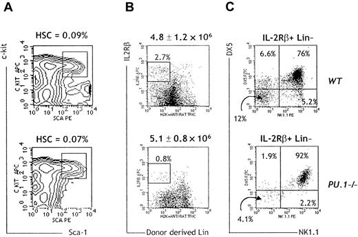 Fig. 3. Reduced numbers of donor-derived NK cell precursors inPU.1−/− chimeras. / (A) BM cells of WT and PU.1−/−chimeras were isolated, and lineage-positive cells were eliminated by a combination of magnetic bead depletion and electronic gating. HSCs (boxed cells) were identified by c-kit and Sca-1 expression as shown. Percentages were calculated on total BM cells. Data are representative of 4 independent experiments. (B) Lin-depleted BM cells were in parallel stained with mAbs specific for DX5-FITC, NK1.1-PE, and IL-2Rβ-APC. Absolute numbers ± standard deviation of Lin-depleted BM cells are indicated on top of the dot plots. Lin-IL-2Rβ+ cells were electronically gated, and their percentages are indicated. (C) The percentages of gated Lin-IL-2Rβ+ cells that were positive or negative for NK1.1 and DX5 are indicated. Data are representative of 3 independent experiments, including 8 WT and 5PU.1−/− chimeras.