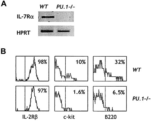 Fig. 6. Expression of growth factor receptors and activation markers on. / PU.1−/− NK cells. (A) RT-PCR for the indicated transcripts was performed, using RNA prepared from sorted splenic NK cells (CD3−NK1.1+) fromWT and PU.1−/− chimeras. (B) Splenic NK cells were stained with mAbs specific for the indicated surface antigens. Histogram profiles are shown for CD3−NK1.1+ gated cells. Data are representative of 8 independent experiments.