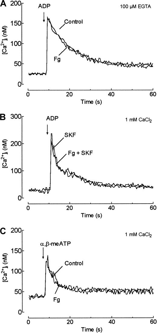 Fig. 3. Effects of fibrinogen on ADP-evoked release of Ca++ from internal stores and P2x1receptor-mediated Ca++ entry. / (A) Fura-2–loaded human platelets were suspended in Ca++-free medium and stimulated with ADP (5 μM) in the absence (Control) or presence of fibrinogen (FG; 1 mg/mL). (B) Human platelets were suspended in an HBS containing 1 mM Ca++ in the presence of SKF96365 (50 μM). Platelets were then stimulated with ADP (5 μM) in the absence (SKF) or presence of fibrinogen (1 mg/mL) (FG + SKF). (C) Human platelets were suspended in an HBS containing 1 mM Ca++. Platelets were then stimulated with α,β-methylene ATP (10 μM) in the absence (Control) or presence of fibrinogen (FG; 1 mg/mL). Traces shown are representative of 6 to 10 independent experiments.