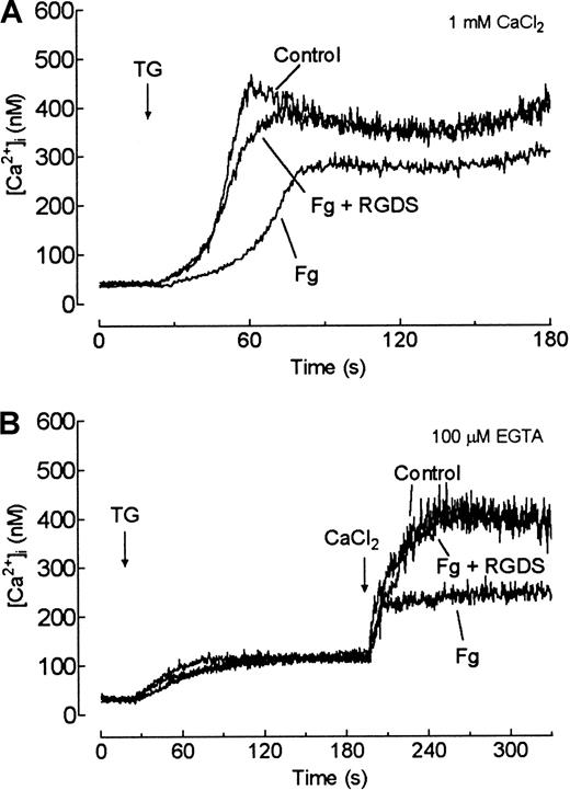 Fig. 4. Fibrinogen inhibits store-mediated Ca++entry. / (A) Fura-2–loaded human platelets suspended in HBS containing 1 mM Ca++ were stimulated with TG (1 μM) in the absence (Control) or presence of either fibrinogen (1 mg/mL) (FG) or fibrinogen after the addition of 100 μM RGDS (FG + RGDS). (B) Human platelets were stimulated in a Ca++-free medium (100 μM EGTA) with ΤG (200 nM) in the absence (Control) or presence of fibrinogen 1 mg/mL (FG) or fibrinogen after the addition of (100 μM) RGDS (FG + RGDS). Three minutes later, CaCl2 (final concentration, 300 μM) was added to the medium to initiate Ca++ entry. Traces shown are representative of 5 to 6 independent experiments.