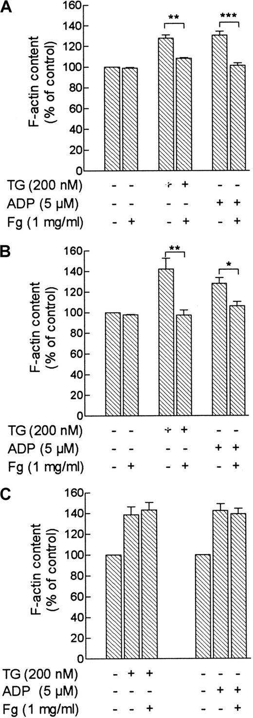 Fig. 6. Effect of fibrinogen on TG- or ADP-evoked actin polymerization in platelets. / Control human platelets (A) or dimethyl BAPTA-loaded platelets (B) were treated with TG (200 nM), ADP (5 μM), or the vehicle (HBS) in the absence or presence of 1 mg/mL fibrinogen. Samples were removed 5 seconds before and 3 minutes after the addition of the stimuli, and actin filament content was determined as described in “Materials and methods.” Values given are actin filament content as percentages of basal (HBS-treated platelets) and are expressed as mean ± SE from 6 independent determinations. *P < .05; **P < .01; ***P < .001. (C) Human platelets were stimulated with TG (200 nM) or ADP (5 μM), and 10 seconds later fibrinogen (1 mg/mL) or the vehicle (HBS) was added. Samples were removed 5 seconds before and 3 minutes after the addition of the stimuli, and actin filament content was determined as described in “Materials and methods.” Values given are actin filament contents as percentages of basal (nontreated platelets) and are expressed as mean ± SE from 6 independent determinations.