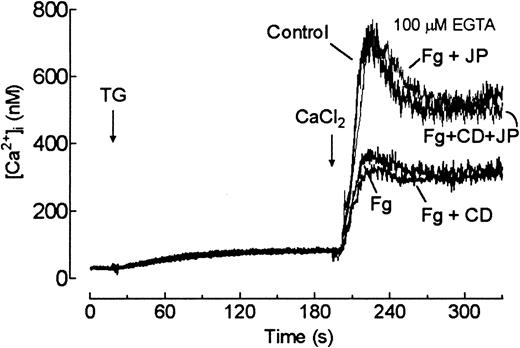 Fig. 7. Effect of cytoskeletal modifiers on fibrinogen-induced inhibition of store-mediated Ca++ entry. / Fura-2–loaded human platelets were preincubated in the presence of 10 μM CD for 40 minutes, 10 μM JP for 60 seconds, both agents, or the vehicles. Cells were then stimulated in a Ca++-free medium (100 μM EGTA) with ΤG (200 nM) in the absence (Control) or presence of 1 mg/mL fibrinogen (FG, FG + CD, FG + JP, and FG + CD + JP). Three minutes later, CaCl2 (final concentration, 300 μM) was added to the medium to initiate Ca++ entry. Traces shown are representative of 4 independent experiments.