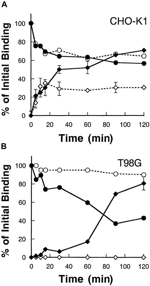 Fig. 3. Internalization of 125I–IL-13 in CHO-K1 and T98G cells. / CHO-K1 (A) and T98G (B) cells were incubated with 0.5 nmol125I–IL-13 at 4°C for 2 hours. Then the temperature was raised to 37°C, and, at various time intervals, 2 duplicate sets of 50 μL aliquots were taken. One set was incubated with glycine buffer (pH = 2.0) for 10 minutes. The mixture was then centrifuged through phthalate oils, and the radioactivity in the cell pellet (internalized) and in the supernatant (surface-bound plus dissociated) was determined with a gamma counter. The other set of 50 μL aliquots was directly centrifuged through phthalate oils, and the radioactivity observed in the supernatant was used for dissociated 125I–IL-13 values. Surface-bound 125I–IL-13 was determined by subtracting dissociated 125I–IL-13 values from (surface-bound plus dissociated) values. Data are expressed as a percentage of total IL-13 bound at time 0. Open circles, surface IL-13 bound on control cells; closed circles, surface-bound on IL-13Rα2–transfected cells; open diamonds, internalization in control cells; and closed diamonds, internalization in IL-13Rα2–transfected cells. Values are the mean of 2 independent experiments. When not shown, standard deviations are smaller than the symbol.