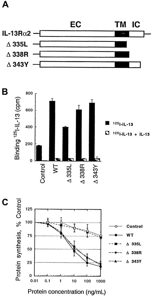 Fig. 5. 125I–IL-13 binding and cytotoxicity of IL-13 toxin to CHO-K1 cells transfected with IL-13Rα2 deletion mutants. / Schematic representation of the wild-type and mutant IL-13Rα2 chains. EC, extracellular domain; TM, transmembrane domain; IC, intracellular domain (A). cDNA for various mutant receptor chains (6 μg/chain) was transfected into cells (5 × 105) by using GenePORTER reagent for 48 hours. For IL-13 binding assay, 5 × 105cells were incubated with 200 pmol/L 125I–IL-13 with or without a 200-fold molar excess of unlabeled IL-13. Binding assays were performed in 2 separate experiments. Cell-bound radioactivity was determined as described in “Materials and methods” (B). CHO-K1 cells were transfected with IL-13Rα2 and its mutants, and then IL13-PE38QQR cytotoxicity was determined by protein synthesis inhibition assay. The results are represented as means ± SD of quadruplicate determinations (C).