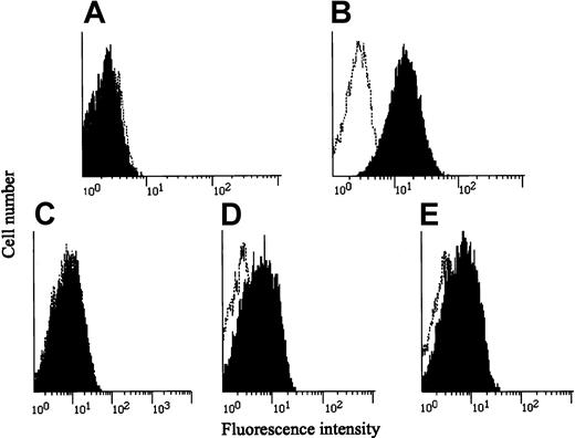 Fig. 1. Expression of IL-12Rβ1 chains and IFN-γ receptors in various cells. / (A-C) PBMCs from the patient and a healthy subject were stimulated with PHA, cultured for 3 days, washed, and incubated with a monoclonal antibody against IL-12Rβ1 chain (black) or a control IgG-1 monoclonal antibody (0.5β), stained with an FITC-labeled, goat-antimouse IgG, and subjected to flow cytometry. The patient's HTLV-1–immortalized T (TS-1HTLV-1) cells were treated and analyzed similarly. (D-E) PBMCs from the patient and a healthy subject were stained with an IFN-γR1–specific monoclonal antibody and subjected to flow cytometry.