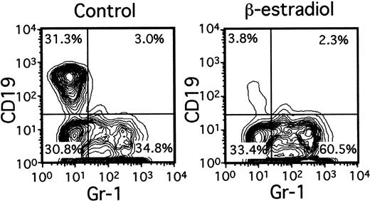 Fig. 4. Early lymphocyte precursors are directly and selectively inhibited by estrogen in culture. / Lin− c-kitHi BM cells were placed in serum-free, stromal cell-free cultures with or without β-estradiol (10−8M). Gr-1+ myeloid and CD19+lymphoid cells determined by flow cytometry are shown after 7 days of culture.