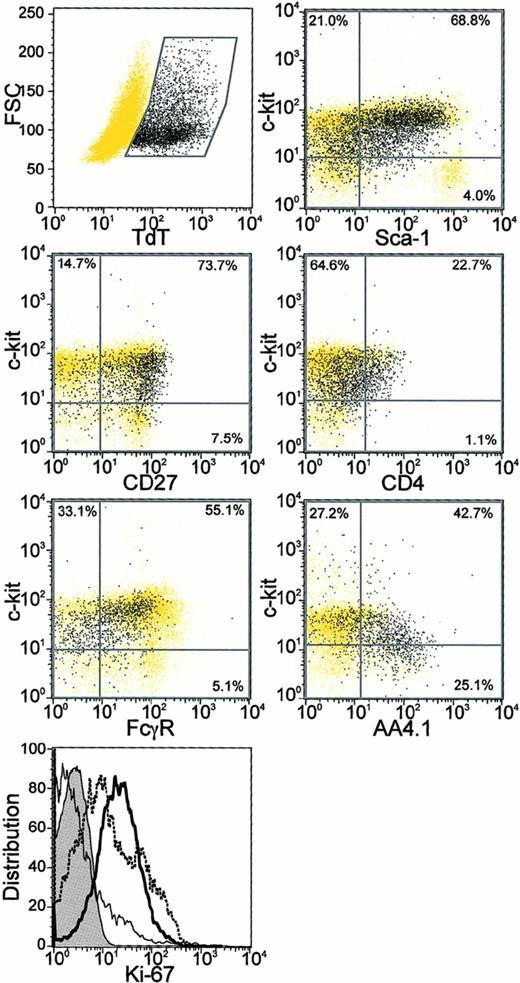 Fig. 5. Additional characteristics of Lin−TdT+ bone marrow cells. / Sorted Lin− bone marrow cells were stained for surface antigens followed by intracellular TdT staining and analysis by 4 parameter flow cytometry (described in “Materials and methods”). The Lin− TdT+ cells in each panel are shown as black dots, whereas all remaining cells are shown as yellow dots. Percentages of the total population of Lin−TdT+ cells in each quadrant are also given. Cells were also stained for the Ki-67 proliferation antigen (bottom panel). Expression of Ki-67 in Lin− TdT+ cells (bold) was compared with that in Gr-1Lo bone marrow cells (dotted) and in IgM+ B cells (plain) along with the isotype control (tinted).