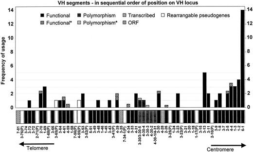 Fig. 5. VH gene segment usage in 63 sequenced adult B-lineage ALL clones. / Only rearrangeable segments have been shown. Asterisk indicates that clone matched 2 to 3 segments in total, and each segment has been given a score of 0.33 or 0.5, accordingly.