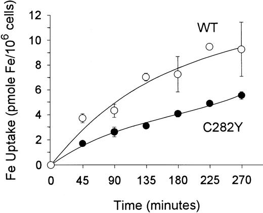 Fig. 3. Total iron uptake per cell is greater in WT than in C282Y cells. / Cells (106/mL) were incubated with 59Fe-Tf (143 pmol Fe/mL) in fresh medium containing 1% FCS. 59Fe uptake by cells was determined at the times shown. Values shown represent means ± SE (n = 3).