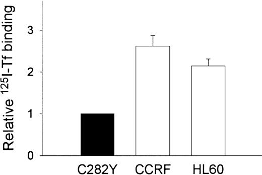 Fig. 5. C282Y cells display fewer Tf binding sites than CCRF-CEM and HL60 cells. / 125I-Tf binding studies were performed at 4°C on intact cells. Tf binding to CCRF-CEM and HL60 cells is expressed relative to C282Y cells. Values shown represent the means ± SE (n = 3-4 separate binding studies, each performed in duplicate).
