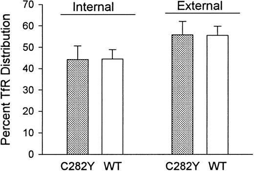 Fig. 8. The distribution of TfRs between cell-surface and intracellular compartments is similar in C282Y and WT cells. / Cell-surface (external) and total cellular Tf binding sites were measured by 125I-Tf binding to C282Y and WT cells at 4°C and 37°C, respectively. Internal (intracellular) Tf binding sites represent the difference between 125I-Tf binding at 37°C and 4°C. The fraction of intracellular 125I-Tf binding sites was also determined by washing cells from the 37°C binding assay with an acidic buffer to remove cell-surface–bound125I-Tf, as discussed in the text. Bars represent means ± SE (n = 4).