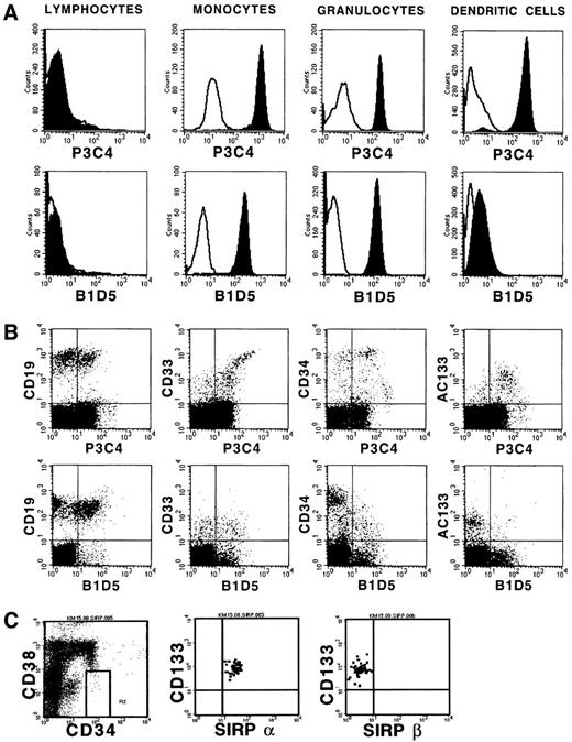 Fig. 3. Expression of SIRPα and SIRPβ on hematopoietic cells. / (A) PB cells and in vitro–generated DCs were immunolabeled with MoAbs P3C4 (IgG2a) or B1D5 (IgG2a) and PE-conjugated goat antimouse IgG2a-specific antiserum (filled histograms). Nonbinding IgG2a antibody was used as negative control (black line). Cultured DCs were further labeled with FITC-conjugated CD1a-specific MoAb. Gated lymphocytes, monocytes, and granulocytes, as well as CD1a+ DCs were analyzed on a FACSCalibur flow cytometer (n = 3). (B) Ficoll- isolated BM cells were labeled with MoAbs P3C4 or B1D5 and stained with FITC-conjugated goat antimouse IgG2a-specific antiserum, as well as with PE-conjugated MoAbs against CD19, CD33, CD34, and AC133 antigen. Gated mononuclear cells were analyzed on a FACSCalibur flow cytometer (n = 3). (C) Expression of SIRP on CD34+CD38− BM cells. Cells were stained with CD34-FITC, CD38-APC, CD133-PE, and either P3C4 (SIRPα) or B1D5 (SIRPβ) plus anti-IgG2a-FITC, and analyzed on a FACSCalibur flow cytometer. The plots show coexpression of CD133 and SIRP on gated CD34+CD38− cells.