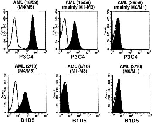 Fig. 4. SIRPα and SIRPβ expression on AML blasts. / Ficoll-isolated PB or BM cells from patients with AML were immunolabeled with MoAb P3C4 or B1D5, followed by PE-conjugated goat antimouse IgG2a-specific antiserum (filled histograms). Nonbinding IgG2a antibody was used as negative control (black line). Cells were further stained with FITC-conjugated CD45-specific MoAb and gated CD45low leukemic blasts were analyzed. AML samples were divided into 3 groups: (1) normal SIRPα/β expression; (2) reduced SIRPα, no SIRPβ expression; (3) no SIRPα/β expression. The histograms show representative examples of each group. The number of analyzed samples is given in parentheses.