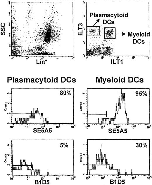 Fig. 5. Differential expression of SIRPα and SIRPβ on distinct subsets of primary DCs. / Cells from whole blood were stained with anti-ILT1 antibody followed by FITC-labeled goat antirat antibody. After washing, cells were labeled with PCy5-conjugated anti-CD3, -CD14, -CD16, -CD19, and -CD56 MoAb; PE-conjugated anti-ILT3 MoAb; and biotinylated MoAbs SE5A5 and B1D5 or a biotinylated control antibody. In the final step, streptavidin-allophycocyanin was added. Primary DCs in human PB are included within lineage (lin)−/low side-scatter cells (top left). Differential expression of ILT1 and ILT3 receptors on these cells allows the identification of 2 distinct subsets of primary DCs (top right). ILT3+ILT1− cells correspond to plasmacytoid dendritic cells. ILT3+ILT1+ cells correspond to myeloid DCs. SIRPα (analyzed with MoAb SE5A5) is expressed on both subsets and is particularly bright on ILT3+ILT1+ DCs. SIRPβ (analyzed with MoAb B1D5) is expressed on a significant percentage of ILT3+ILT1+ DCs (30%-70% in different individuals) and only on few ILT3+ILT1− DCs (5%-10%). Bars on the left of the histograms indicate the region in which 99% of the control cells stained with isotype-matched control antibodies were found.