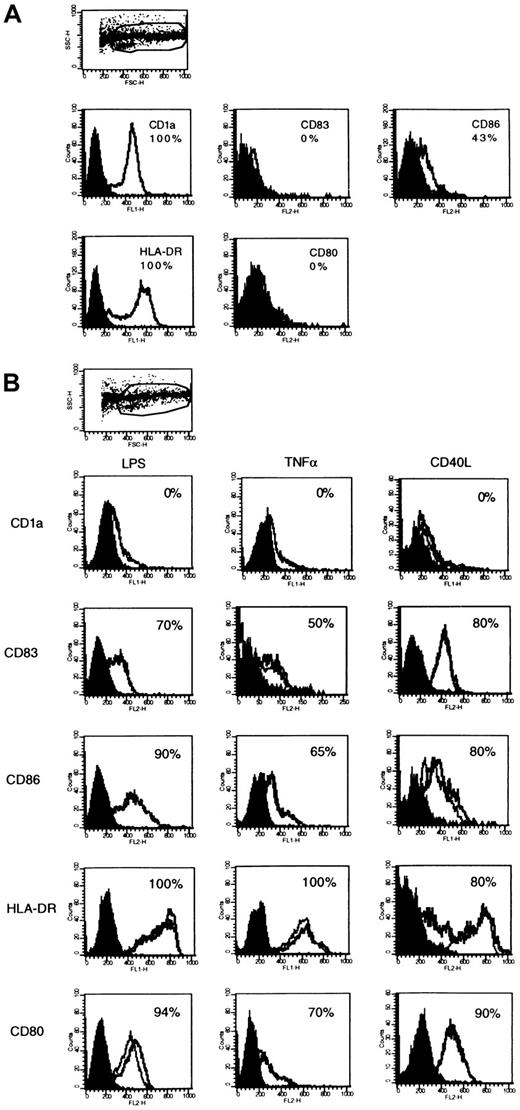Fig. 1. IL-11 does not affect DC maturation mediated by CD40L, TNF-α, and LPS. / DCs cultured for 6 to 7 days with GM-CSF and IL-4 (A) were further incubated with maturation stimuli in the presence and absence of IL-11 (B). Overlay diagrams show the expression of the relevant antigens versus negative controls. Addition of CD40L, TNF-α, or LPS to immature DCs induced a phenotypic pattern typical of terminally differentiated elements: CD1a−, HLA-DR+, CD80+, CD86+, and CD83+. Addition of IL-11 (gray line) did not modify the DC profile as regards mean fluorescence intensity (MFI) or the percentage of positive cells.