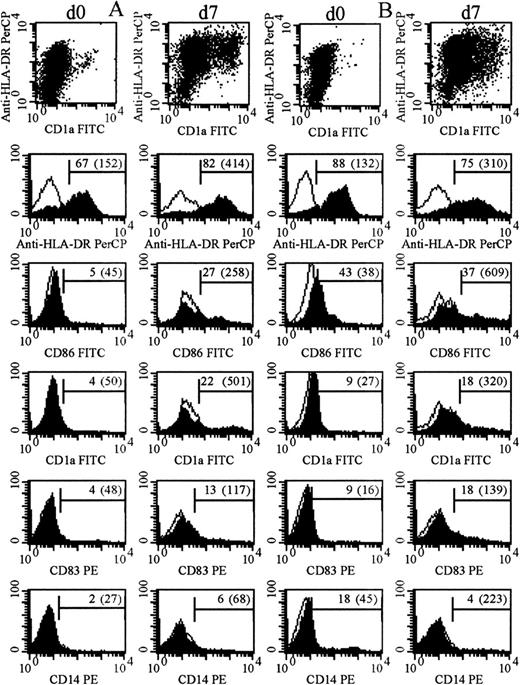 Fig. 3. Immunophenotype of cultured and uncultured AML blasts. / Filled and unfilled histograms indicate expression of the labeled mAb and of an appropriate isotype control. Numbers indicate percentage of positive cells after subtraction of controls (mean fluorescence intensity of positive cells). (A) The immunophenotype of day-0 and day-7 cells from patient 3 (cultured with GM-CSF with TNF-α added for the last 2 days). (B) The immunophenotype of day-0 and day-7 cells from patient 14 (cultured with GM-CSF, IL-4, and TNF-α all from day 0).