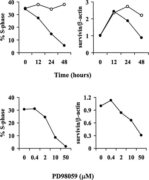 Fig. 6. Kinetics and dose-response of PD98059-induced cell-cycle arrest and down-regulation of survivin protein expression. / OCI-AML3 cells were treated with either vehicle (control) or PD98059, harvested and stained with PI to determine DNA content (left panels) or analyzed by Western blot with a survivin-specific antiserum (right panels). Top panels show the kinetics of cell-cycle arrest and down-regulation of survivin expression in response to 20 μM PD98059. Bottom panels show the dose-response curves for PD98059 at 48 hours. Results are expressed as the percentage of cells in S phase (calculated using the ModFit LT software, left panels) andsurvivin/β-actin ratios (as quantitated by a PhosphorImager, right panels). Results of 1 of 3 independent experiments are shown. ○ indicates control; ●, PD98059 (20 μM).
