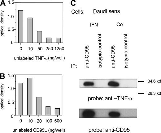 Fig. 5. TNF-α and the CD95 receptor. / (A, B) Binding of TNF-α to immobilized recCD95:Fc determined by ELISA. Competition of binding of labeled TNF-α (50 ng/well) by various concentrations of unlabeled recTNF-α (A) or unlabeled recCD95L (B). Figure represents 1 of 3 experiments. (C) Untreated (Co) or IFN-α–treated (IFN) Daudi cells were lysed and immunoprecipitated with anti-CD95 antibody or isotypic control antibody. Immunoprecipitated proteins were analyzed on SDS-PAGE and transferred to a PVDF membrane. The membrane was probed with anti–TNF-α and reprobed with anti-CD95 antibody.
