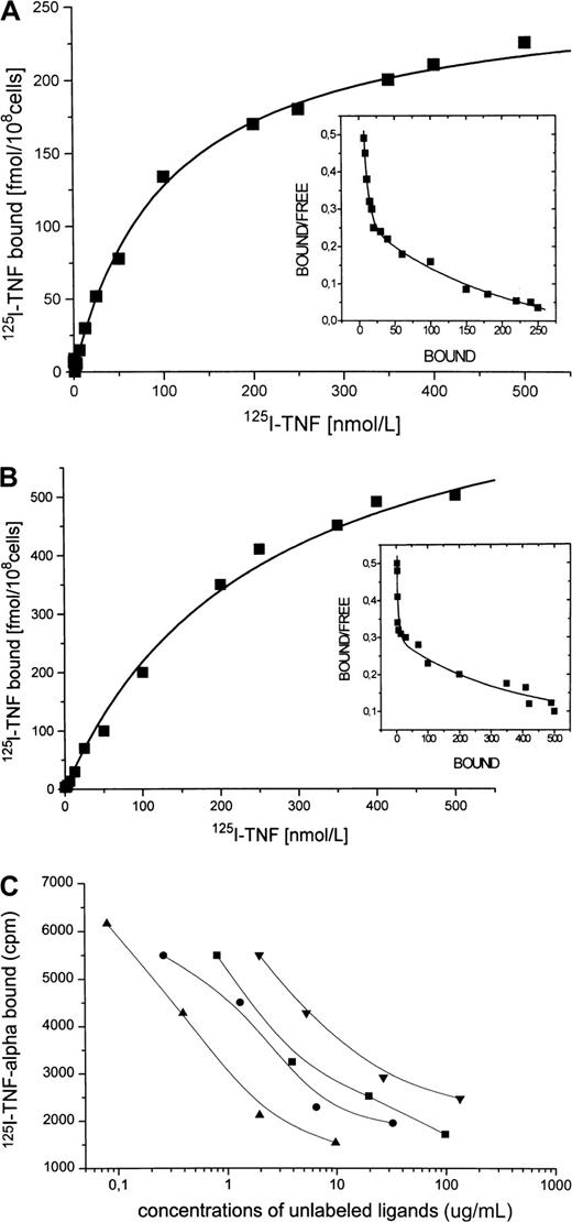 Fig. 6. 125I–TNF-α and Daudi cells. / (A) Binding of 125I–TNF-α to untreated Daudi cells. Specific binding (shown) was determined as total binding minus nonspecific binding. This experiment identifies 2 classes of specific binding sites with the binding capacities Bmax1 = 30 fmol/108 cells and Bmax2 = 250 fmol/108 cells with the correspondingKd1 of 5 nM and Kd2 of 110 nM. (B) Binding of 125I–TNF-α to Daudi cells after 1-day incubation with IFN-α. Binding capacity of the high-affinity site remained almost unchanged (Bmax1 = 25 fmol/108 cells, Kd1 = 3 nM), whereas Bmax2 of the low-affinity binding site increased to 550 fmol/108 cells with a correspondingKd2 of 120 nM. (C) Displacement of125I–TNF-α binding to Daudi cells. Incubation of IFN-treated Daudi cells with 125I–TNF-α (2.5 ng/mL) in the presence of increasing concentrations of unlabeled recCD95L (▴, 0.08-9.75 μg/mL), or anti-TNF antibody (●, 0.26-32.5 μg/mL), or recTNF-α (▪, 0.8-97.5 μg/mL), or recCD95:Fc (▾, 1.1-133.1 μg/mL) for 30 minutes at 4°C.