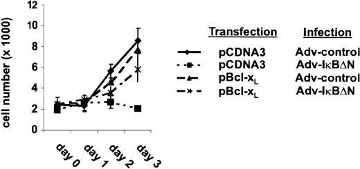 Fig. 5. Ectopic expression of Bcl-xL rescues survival of Ad5-IκBΔN–infected cells. / L428 cells were transfected with 20 μg pCMVBcl-xL or pCDNA3, respectively, and 20 μg pEGFPN3 (Clontech Laboratories). One day after transfection (day 0) cells were divided and infected with Ad5-control or Ad5-IκBΔN. GFP-expressing cells were counted. Three independent experiments were performed.