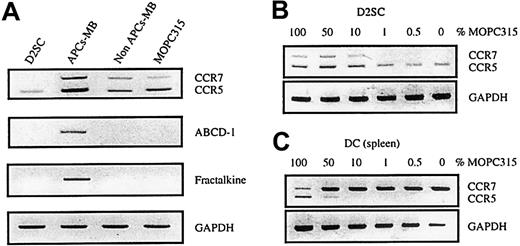 Fig. 3. Chemokine and chemokine receptor expression in APCs-MB purified from MOPC315 tumors. / APCs-MB were purified from MOPC315 tumors (1-2 g) in BALB/c mice, the remaining cells (non–APC-MB) consisted mainly of tumor cells (A). In addition, D2SC, an immature spleen-derived DC line, and in vitro-cultured MOPC315 tumor cells, were analyzed (B,C). Expression of ABCD-1, fractalkine (ABCD-3), CCR5, and CCR7 was analyzed by RT-PCR. GAPDH served as a control for the cDNA input in RT-PCR.