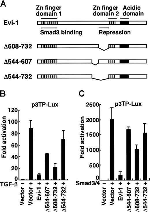 Fig. 1. Identification of a domain responsible for repression in Evi-1. / (A) Structures of wild-type Evi-1 and its deletion mutants. The Smad3-binding domain and the repression domain are shown. (B) HepG2 cells were transfected with p3TP-Lux together with wild-type or each mutant of Evi-1 in the absence or the presence of 200 pM TGF-β as indicated. (C) HepG2 cells were transfected with Smad3, Smad4, and p3TP-Lux together with wild-type or each mutant of Evi-1 as indicated in the absence of TGF-β. Luciferase activities were measured, and the values relative to the basal activity of the reporter are presented. The representative data of 3 independent experiments in duplicate are shown. Values and error bars depict the mean and the SD, respectively.