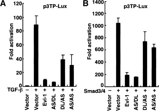 Fig. 5. Evi-1 requires CtBP as a corepressor for inhibition of TGF-β signaling. / (A) HepG2 cells were transfected with p3TP-Lux together with wild-type or each mutant of Evi-1 in the absence or the presence of 200 pM TGF-β as indicated. (B) Smad3, Smad4, and p3TP-Lux were transfected into HepG2 cells together with wild-type or each mutant of Evi-1 in the absence of TGF-β. Luciferase activities were assayed and presented as described in the legend for Figure 1.