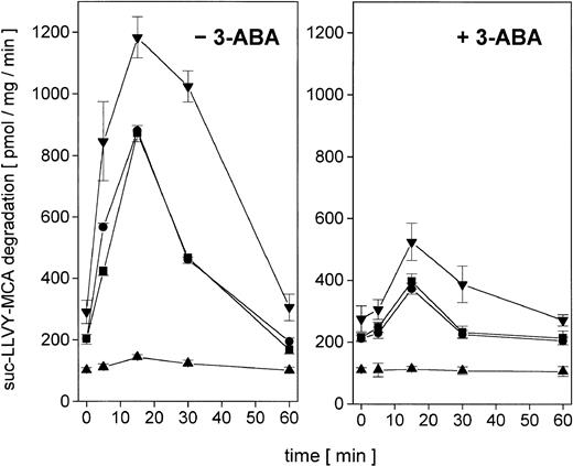 Fig. 2. Nuclear proteasomal activity after addition of 10−7 M adriamycin in different U937 leukemic cell variants in the absence or presence of the PARP inhibitor 3-ABA. / (Left) −3-ABA. Nuclei from U937, Diff-U937, Retro-U937, and TUR cells were isolated and lysed after treatment with 10−7 M adriamycin for the time points indicated, respectively. Proteasome activity is expressed as lactacystin-sensitive suc-LLVY-MCA degradation. Data are given as mean ± SD (n = 4). (Right) +3-ABA. Time course of proteasome activity in lysates of nuclei from adriamycin-treated cells in the presence of 1 mM 3-ABA. Data are given as mean ± SD (n = 4). ▪, U937; ▴, Diff-U937; ●, Retro-U937; ▾, TUR.
