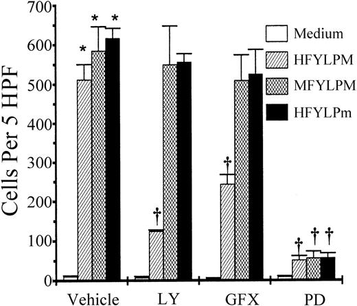 Fig. 10. Effect of enzyme inhibitors on monocyte chemotaxis induced by the peptides. / Monocytes remained untreated or were treated for 15 minutes (60 minutes for PD98059) with LY (LY294002, 50 μM), GFX (GF109203X, 5 μM), or PD (PD98059, 50 μM). After washing twice, 25 μL of monocytes at 1 × 106/mL was added to the upper wells and allowed to migrate for 2 hours at 37°C (humidified atmosphere; 5% CO2) toward each peptide (1 μM HFYLPM, 1 μM MFYLPM, or 10 nM HFYLPm) or medium. After fixing and staining of the membrane, the number of migrated cells was determined by counting them in high-power field (400 ×). The data are presented as mean ± SE of 3 independent experiments each performed in duplicate. *P < .01 versus medium treatment, †P < .01 versus peptide treatment, respectively.