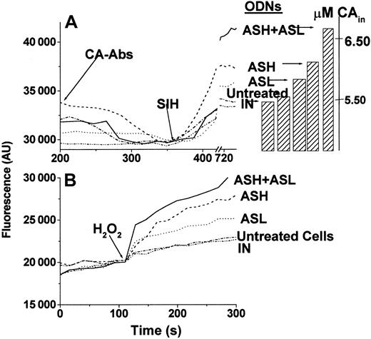 Fig. 3. LIP and ROS in K562 cells. / (A) Determination of LIP in K562 cells. After quenching of non–cell-associated CA fluorescence by anti-CA antibodies, the permeable chelator SIH was added (arrow), and LIP was determined as specified in 2 from the stabilized signal attained after its addition. Cell incubations before LIP determination: (-·-·-), 48 hours, no ODN added; (–··–··–), 48 hours with 1 nM IN-ODN; (-----), 48 hours with 1 nM ASH-ODN; (·····), 48 hours with 1 nM ASL-ODN; (———), 48 hours with 1 nM both ASH-ODN and ASL-ODN. Bars represent the μM concentrations of calcein in the cells after the addition of the chelator SIH. (B) Determination of pro-oxidant prompted ROS formation in K562 cells. ROS production was determined based on the rise in fluorescence in CDCF-DA-am–loaded cells, as described in detail in “Materials and methods.” H2O2 (5 μM) was used as the pro-oxidant and was added to the cells where indicated. Treatment annotations are the same as in panel A.
