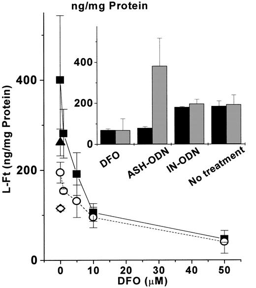 Fig. 4. Influence of iron chelation on L-FT up-modulation by H-FT repression. / DFO (0-50 μM) was added for the last 24 hours to cells incubated for 48 hours with 1 nM of either ASH-ODN (▪) or IN-ODN (○). In both the ASH-ODN (▴) and the IN-ODN (⋄), 50 μM iron-bound DFO was also supplemented. (Inset) Influence of 48-hour incubation with 1 nM ASH-ODN on the expression of both H-FT (▪) and L-FT (░) compared with the influences of DFO (50 μM, 24 hours), IN-ODN (1 nM, 48 hours), and none (48 hours). Protein levels were quantified by ELISA, as described in “Materials and methods.” Data are from a representative experiment performed in triplicate.