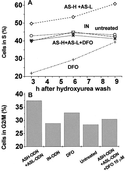 Fig. 7. Percentage of cells in the S and G2/M phases after release from hydroxyurea cell-cycle arrest of K562 cells subjected to different AS-ODN treatments. / (A) Cells were treated as follows: ⋄, 1 nM ASH-ODN +ASL-ODN for 48 hours; ○, 1 nM IN-ODN for 48 hours; +, 50 μM DFO for the last 24 hours of incubation (added with hydroxyurea); ▿, untreated cells; ∗, 1 nM ASH-ODN+ASL-ODN for 48 hours plus 10 μM DFO added for the last 24 hours of incubation. After 24 hours, hydroxyurea (2 mM) was added for the last 24 hours of incubation, and cells were harvested and analyzed by flow cytometry as described in “Materials and methods.” (B) The same cells were analyzed by flow cytometry 24 hours after the release from hydroxyurea. Data are from a representative experiment.