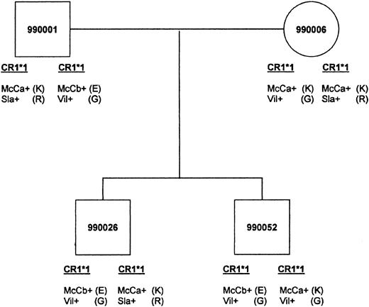 Fig. 3. An example of genetic inheritance of KN. / Malian family shows inheritance of McCa with amino acid 1590K, McCb with 1590E, Sla with 1601R, and Vil with 1601G. The father passes the CR1*1 allele bearing McCb(E)/Vil (G) to both sons. The mother passes the McCa(K)/Vil (G) haplotype to son 990052 and the McCa(K)/Sla (R) haplotype to son 990026.