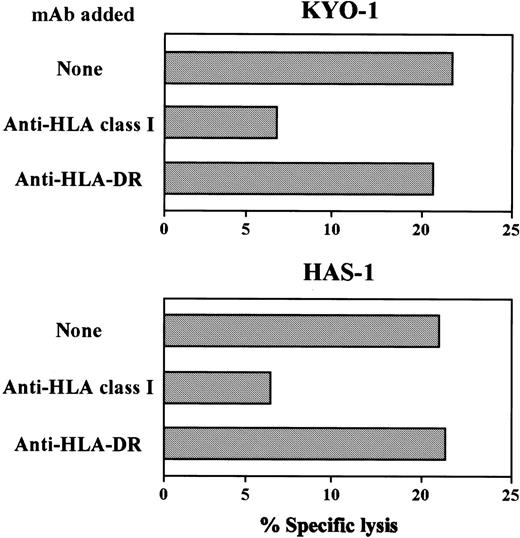 Fig. 2. Effect of an anti-HLA class I mAb on cytotoxicity of KYO-1 and HAS-1 against leukemia cells. / The cytotoxicity of KYO-1 and HAS-1 against HLA A24+leukemia cell line, MEG01, preincubated with or without an anti-HLA class I mAb or an anti-HLA class II mAb was determined by 4-hour51Cr release assays at an effector-target ratio of 10:1.