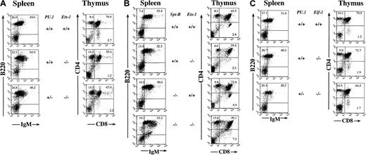 Fig. 1. Flow cytometric analysis of blood cell lineages in mutant mice. / Single-cell suspensions of spleen and thymus from adult mice of the indicated genotypes were prepared and stained with antibodies to B220 and IgM or CD4 and CD8. Numbers indicate percentages of positive cells in each quadrant. Ten thousand events per dot plot were collected.