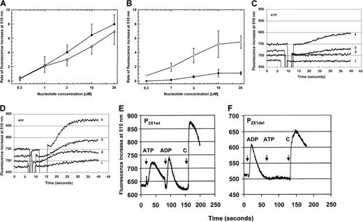 Fig. 4. Ca++ mobilization of transfected P2X1wt and P2X1del receptors. / (A) Dose-response Ca++ influx (rate of fluorescence increase at 510 nm) for the P2X1wt receptor (summarized for P2X1wt clones designated W1, W2, W3, and W4) exposed to ATP (●, 2-6 individual experiments per concentration) or ADP (■, 2-7 individual experiments per concentration). (B) Dose-response Ca++ influx for the P2X1del receptor (summarized for P2X1del clones designated DL1, DL3, DL4, and DL5) exposed to ATP (●, 2-14 individual experiments per concentration) or ADP (■, 2-16 individual experiments per concentration). Values shown in panels A and B are mean ± SD (C) Ca++ influx profiles for the P2X1del receptor exposed to differing concentrations of ATP. A delayed activation by ATP is observable only at concentrations of 3 μM (trace 3) or greater. (D) Ca++ influx profiles for the P2X1delreceptor exposed to differing concentrations of ADP. Ca++influx is evident at concentrations of 0.3 μM (trace 1) or greater. Transfected cells expressing P2X1del receptors were exposed to increasing concentrations (0.3, 1, 3, or 10 μM, traces 1-4, respectively) of ATP (C) or ADP (D). Note that although the P2X1wt receptor is activated at similar concentrations by both ATP and ADP, the P2X1del receptor is activated to a greater extent by ADP at all concentrations. No activation was observed by either ATP or ADP in the absence of exogenous Ca++ or using nontransfected 1321 cells, confirming both the absence of endogenously activated nucleotide receptors and the requirement for influx of Ca++ as expected for an ion channel functioning as a receptor. (E) Ca++ influx profile for the P2X1wt receptor with the sequential addition of agonists. ATP (30 μM), ADP (30 μM), and carbachol (C, 50 μM) were added as indicated. (F) Ca++ influx profile for the P2X1del receptor with the sequential addition of agonists. ADP (30 μM), ATP (30 μM), and carbachol (C, 50 μM) were added as indicated. Note the different x-axis values between panels E or F (200 seconds) and C or D (40 seconds).
