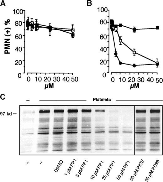 Fig. 1. Activity of SRC tyrosine kinases is required for PMNL adhesion to activated platelets and for platelet-induced PMNL P-110 tyrosine phosphorylation. / HE-loaded PMNLs were preincubated for 1 minute at 37°C with different concentrations of (A) PP1 (■), PP2 (●), PP3 (▪); (B) tyrphostin AG 490 (■), piceatannol (○), PD98059 (▪) before the addition to PFA-fixed, BCECF-loaded thrombin-activated platelets. Mixed-cell suspensions were coincubated at 37°C and 1000 rpm stirring (standard conditions). The interaction was stopped at 2 minutes by the addition of 1 vol of 2% PFA, and samples were processed for FACS analysis. Data report the percentage of PMNLs displaying the platelet green fluorescent marker. Values are means ± SEM (n = 5). (C) PMNLs were preincubated for 1 minute at 37°C with different concentrations of PP1 or with 50 μM piceatannol or PD98059 before coincubation with PFA-fixed, thrombin-activated platelets. Coincubation in standard conditions was stopped at 2 minutes, and samples were processed for analysis of protein tyrosine phosphorylation. The figure shows the Western blot of samples from a representative of 3 experiments.