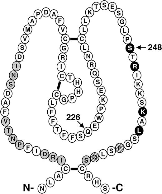 Fig. 4. Schematic diagram of the factor XI A3 domain. / The primary amino acid sequence and disulfide bond structure of the A3 domain from human factor XI is shown.13 The positions of amino acids for putative binding sites for platelets (●) and for factor IX () are highlighted. ○ indicate that amino acids are required for both platelet and factor IX binding. The arrows indicate the positions of the Q226R and S248N amino acid substitutions.