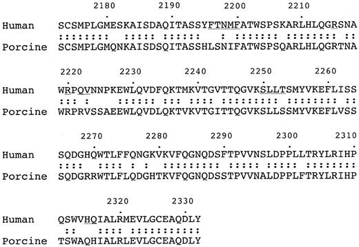 Fig. 5. Sequence alignment of the C2 domains of human and porcine factor VIII. / The regions corresponding to those in the C2-domain epitope in contact with the BO2C11 Fab are underlined.