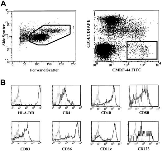 Fig. 1. Blood DC counting method using CMRF-44 mAb. / (A) A representative forward-side scattergram (left) of MNCs following overnight culture and dot plot (right) demonstrating the gating strategy used to identify blood DCs using CMRF-44 mAb. (B) Phenotype of CMRF-44+, CD14−, and CD19− blood DCs analyzed using 3-color FACS analysis.