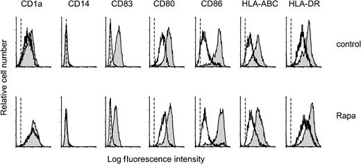 Fig. 1. Rapa does not affect phenotypic differentiation or CD40L-induced maturation. / Monocytes were cultured with IL-4 and GM-CSF in the absence (control) or presence of 10−7 M Rapa. On day 6, cells were harvested, extensively washed, and cocultured with L-Orient or L-CD40L for the subsequent 48 hours. On day 8, cells were harvested and analyzed for several surface markers by flow cytometry. Mean fluorescence intensity of DCs stained only with the secondary antibody was similar for the nonstimulated and the CD40L-stimulated DCs and is represented by the dotted line. Specific staining of nonstimulated DCs is represented by the open histogram, CD40L-stimulated DCs by the filled histogram. The results are representative of 4 independent experiments.