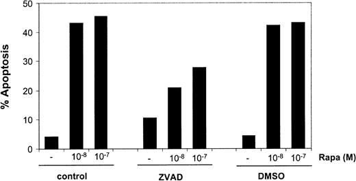 Fig. 7. Rapa-induced apoptosis is partially blocked by inhibition of caspase activity. / Immature mo-DCs were cultured in RPMI–10% FCS supplemented with IL-4 and GM-CSF in the absence or presence of 10−8 or 10−7 M Rapa for 48 hours. Before addition of Rapa, the cells were preincubated with ZVAD-fmk (5 × 10−5 M) or its solvent, DMSO. Apoptosis was detected by flow cytometry using annexin V/PI staining. The percentage of apoptosis demonstrates the percentage of annexin V+ PI− cells. Data shown are the mean ± SD of duplicate cultures. The results are representative of 5 independent experiments.