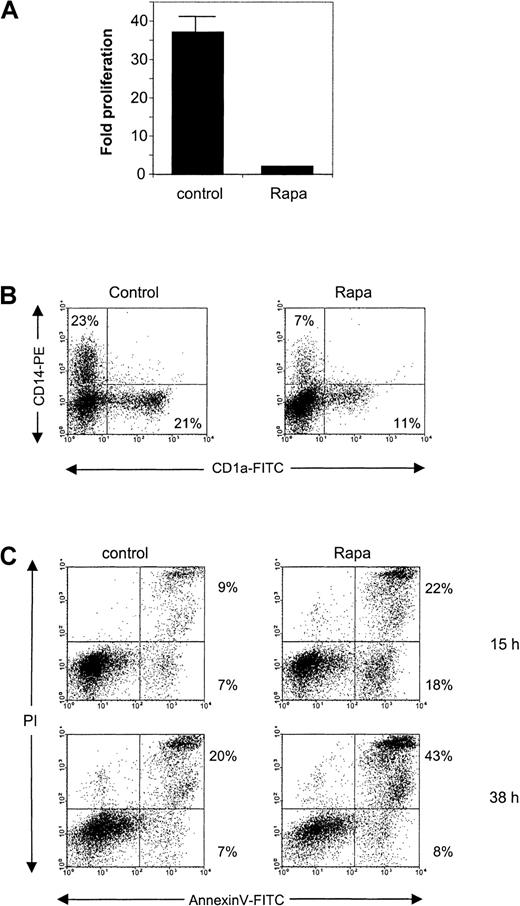 Fig. 8. The effect of Rapa on CD34+ cells and CD34+-derived DCs. / (A) CD34+ cells were cultured for 6 days in the absence or presence of 10−7 M Rapa. The cells were then harvested and analyzed for their proliferation by counting the cells using trypan blue exclusion. Data represented are the mean (± SD) fold of proliferation of 2 different donors. (B) Freshly isolated cord blood CD34+ cells were cultured for 6 days in the absence or presence of 10−7 M Rapa. Differentiation was followed by FACS analysis using anti-CD14 and anti-CD1a directly conjugated antibodies. The results are representative of 2 independent experiments. (C) CD34+-derived DCs were harvested on day 6 and subsequently cultured in the presence of GM-CSF with or without 10−7 M Rapa for 15 or 38 hours. Apoptosis was detected by flow cytometry using annexin V/PI staining. The results shown for both time points are representative of 2 independent experiments.